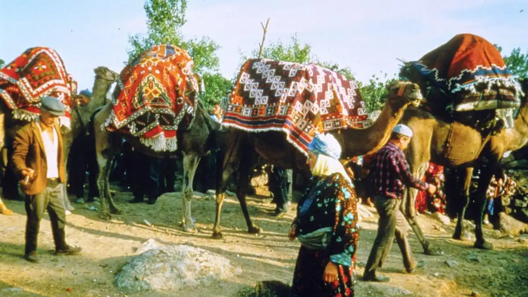 Decorated camels at market.
